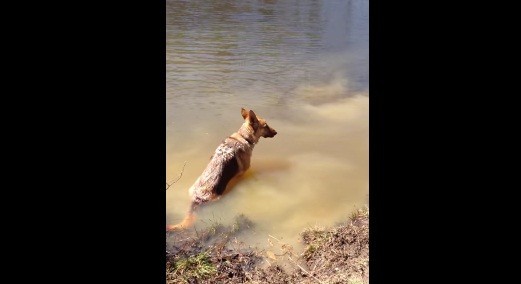 [VIDEO] Watch This Adorable Temper Tantrum From Bella: She Doesn’t Want To Get Out Of The Water!