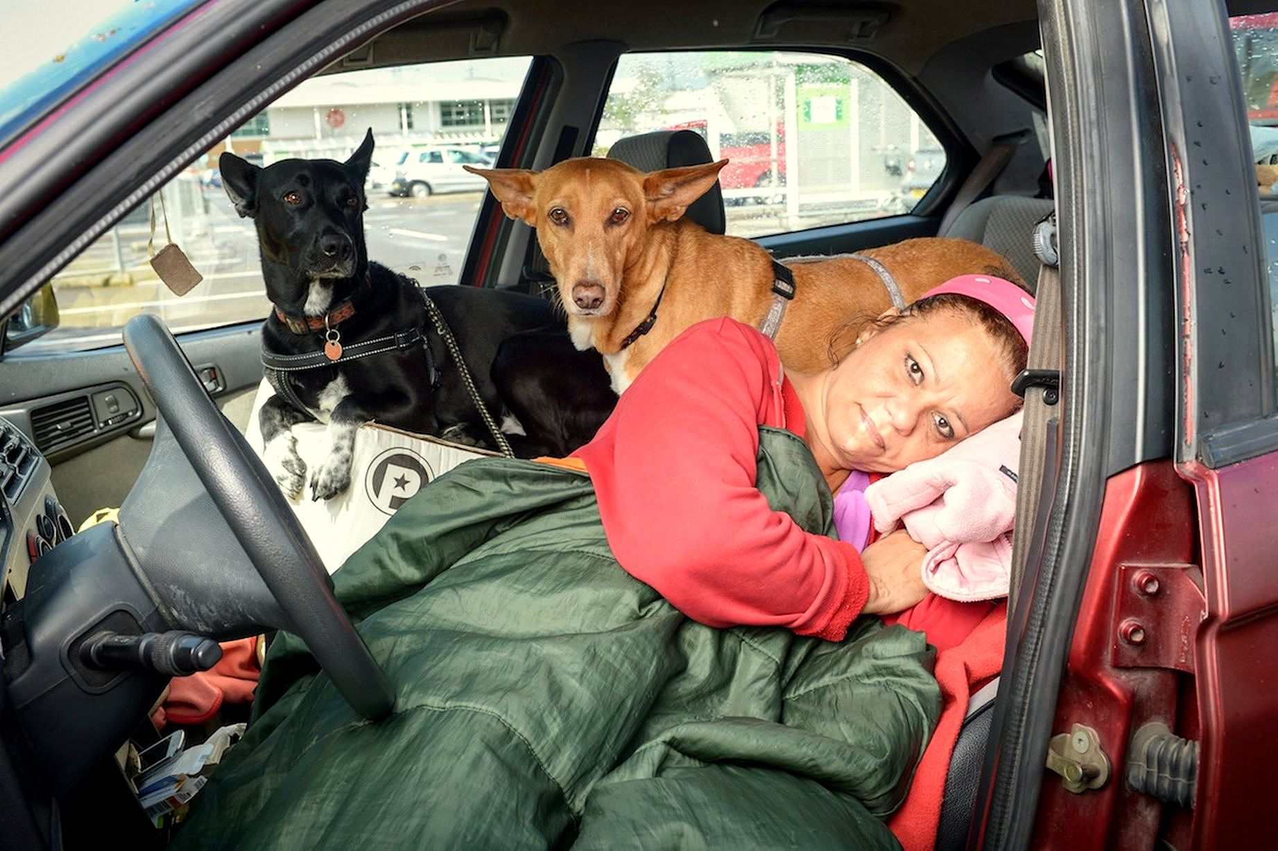 School Teacher Won’t Give Up Her Dogs; Lives Out Of Her Car