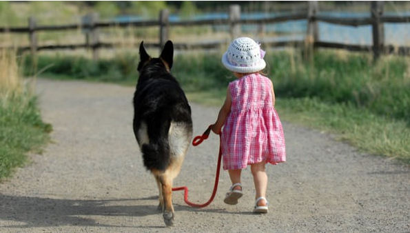 So Beautiful! 7 Photos Of Dogs Reminding Owners Of Some VERY Important Life Truths. Don’t Miss It!