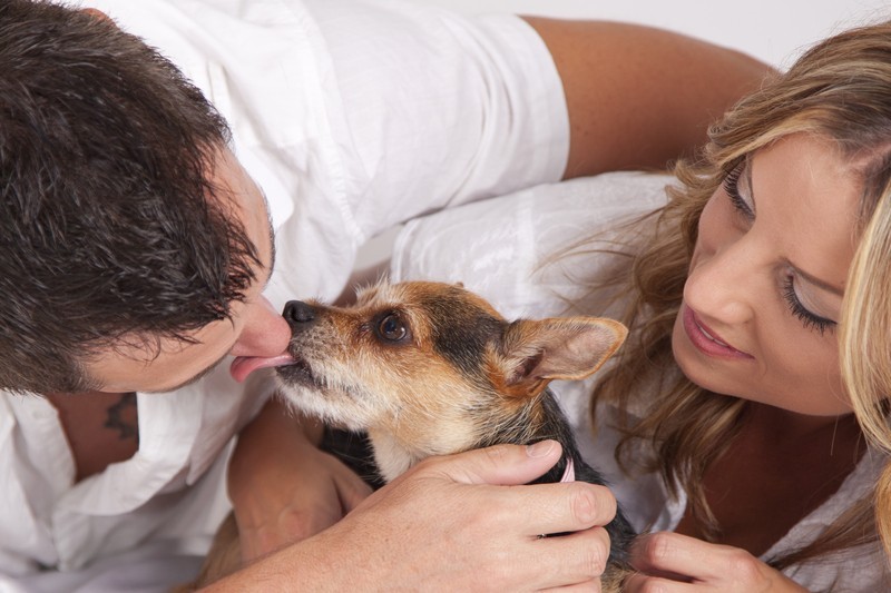 Does Your Dog Constantly Lick Your Hands? Learn How To Curb This Funny Habit
