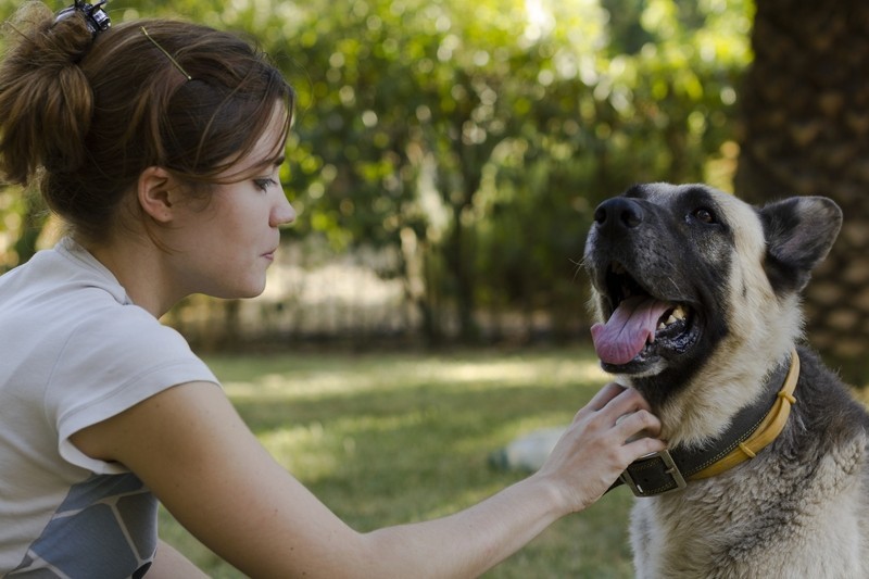 QUIZ: Do Your Kids Know How to Prevent Dog Bites? Take This Quiz And Find Out