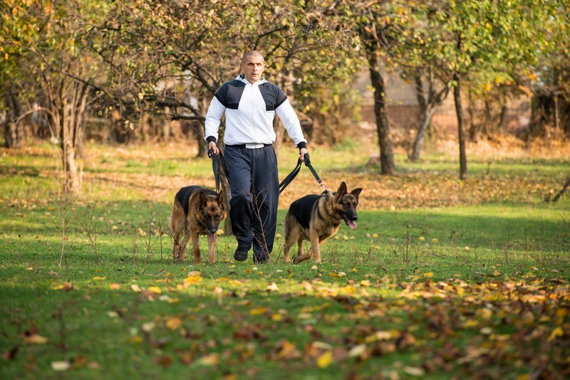 Impossible to Walk Both Your Dogs at Once? Try THIS