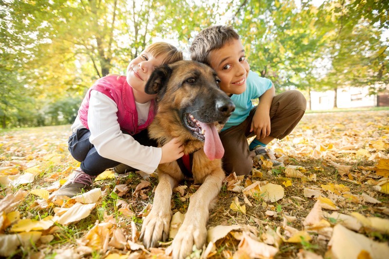 10 Simple Rules to Keep Your German Shepherd Healthy and Happy