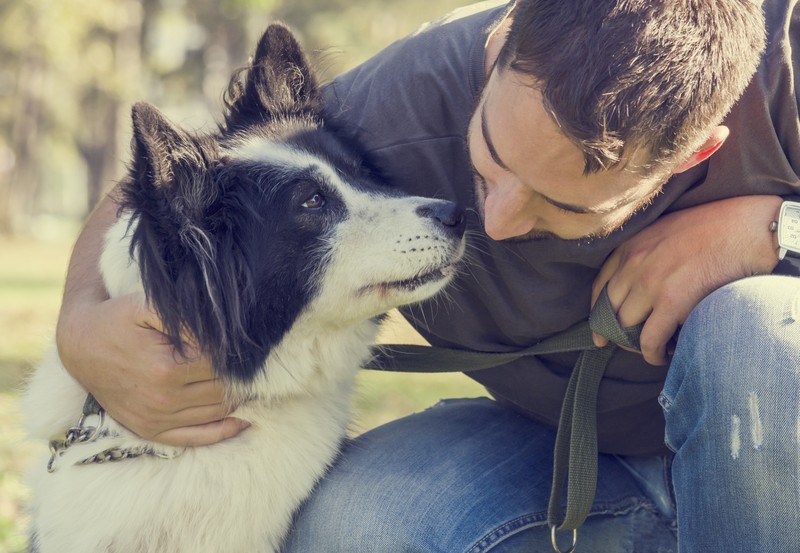 5 Incredible Things Dogs Can Sense In Their Owners! Bet You Didn’t Know About #3!
