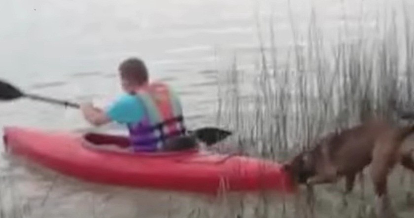 [VIDEO] This Funny Dog Is Determined To Keep His Kayaking Dad On Land Where It’s Safe… HA!