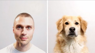 [VIDEO] What Your Life Would Be Like As A Dog: This Video Is AMAZING!
