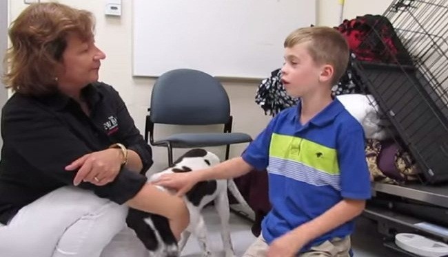 This Adorable Little Boy Is Determined To Help Shelter Animals Every Way He Can!