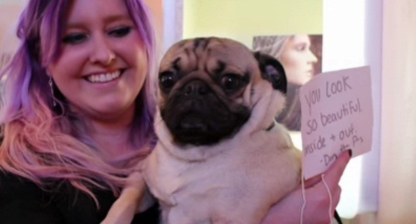 [VIDEO] Watch Doug The Pug Spread Sweetness And Cheer To Strangers