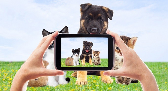 7 Awesome Must-Have Smartphone Apps For Dog Owners!