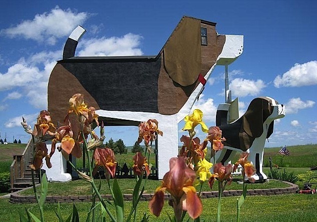 Would You Stay At This Dog Themed Hotel?