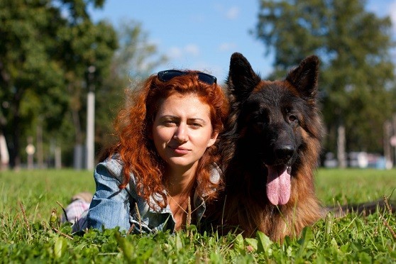 LOL! 10 Dogs You Typically Encounter At Dog Parks – Is Your Pooch One Of These?