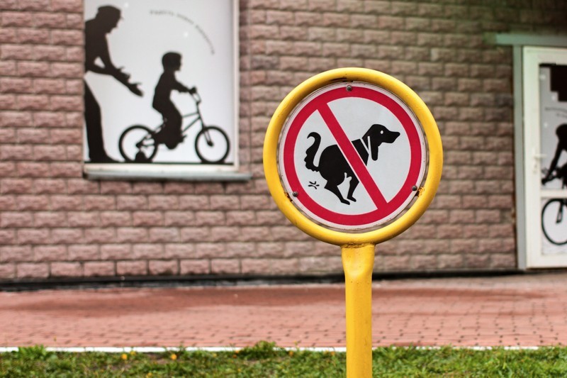 Toxic Dog Poop? Yet Another Reason To Pick Up After Your Dog!