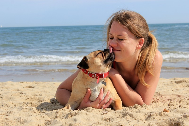 Dog Kisses Are GOOD For You! Wait… WHAT?!