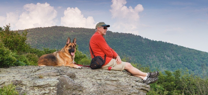 Fun Bonding Activities For You And Your Pooch