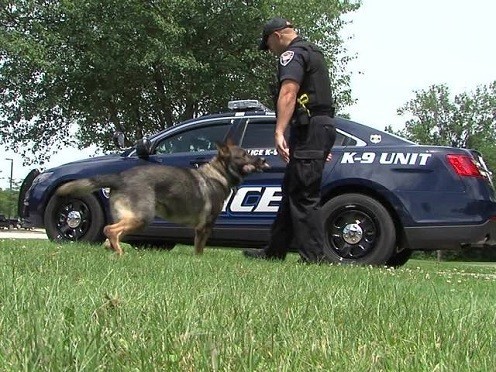 New Police Car System Will Prevent K9’s From Hot Car Death