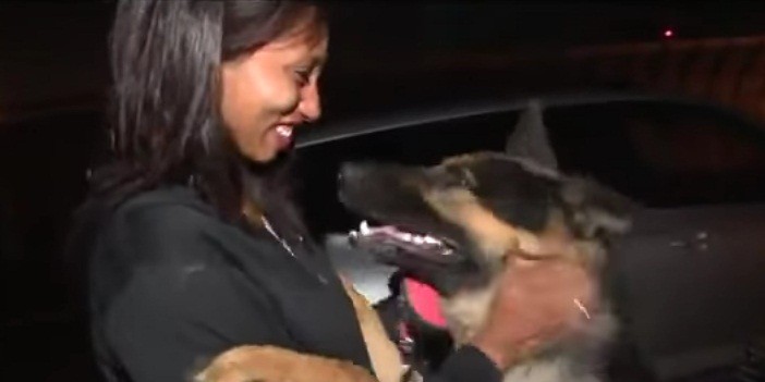 [VIDEO] Emotional Video Of Family Reuniting With Their Dog After 3 Years!!!