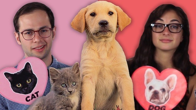 [VIDEO] Quiz: Are These Cat Facts or Dog Facts? Test Your Knowledge!
