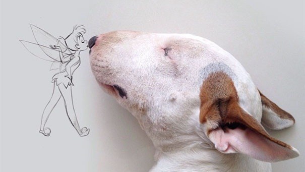 See How This Man Turned His Breakup Into INCREDIBLE Dog Art