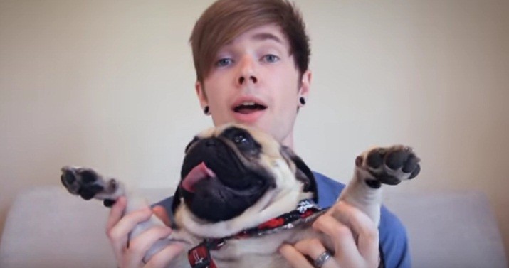 This YouTube Star Fosters Pugs… But THIS One Stole His Heart!