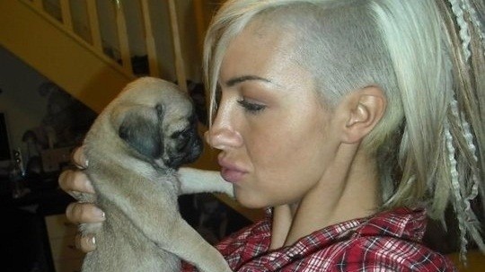 Do You Know These “Celebrity” Pugs?