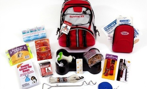 Emergencies Happen! Make Sure Your Dog Is…