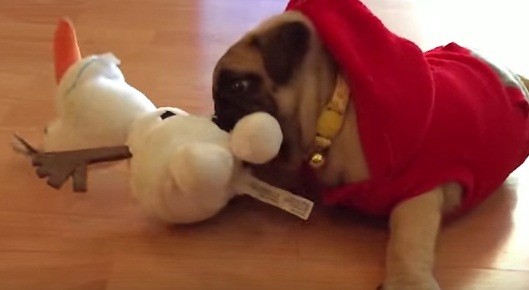 [VIDEO] Cuteness Overload! Watch This Puppy Playing In Slow Motion With….