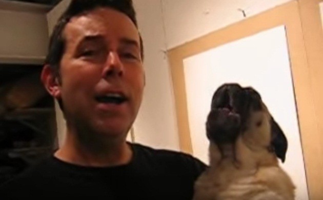 [VIDEO] This Pug Singing ‘Take Me Out To The Ballgame” Is Hilarious!