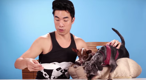 [VIDEO] These People Tasting Dog Food For The First Time Is HILARIOUS!