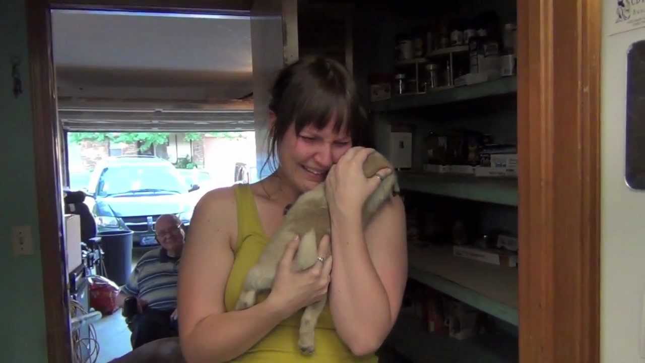 [VIDEO] This ‘Surprise’ Pug Puppy Video Is The Cutest One Yet! What A Sweet Boyfriend!!!