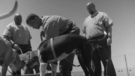 Dogs With Behavioral Issues Get A Second Chance At Life With Prison Inmates