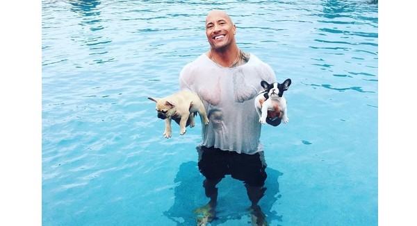 Dwayne “The Rock” Johnson Saves His French Bulldogs From Drowning!