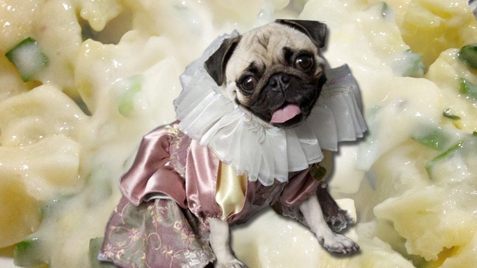 Pugs Performing Hamlet And Other CRAZY Kickstarter Campaigns!