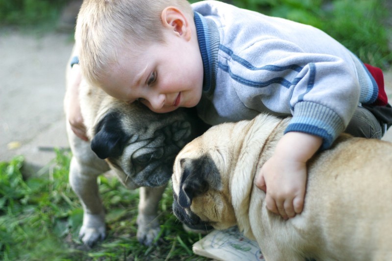 See How Dogs Bond Themselves To Their Humans With THIS Special…