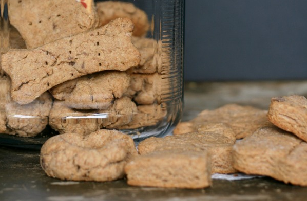 Tasty Homemade Peanut Butter Dog Treats With Coconut Oil – YUM!