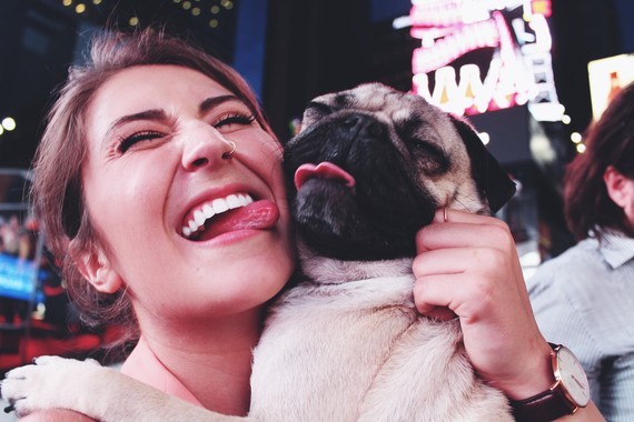 She Quit Her Job To Manage Her Pug’s Career