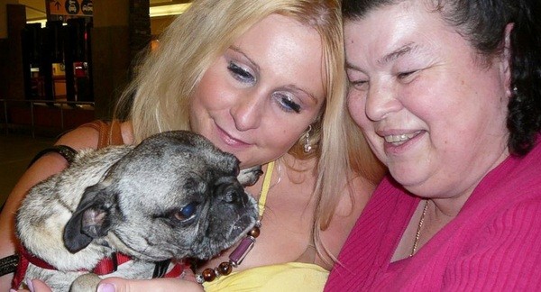 This Pug Was Reunited With His Owner After 5 Years – So Heartwarming!