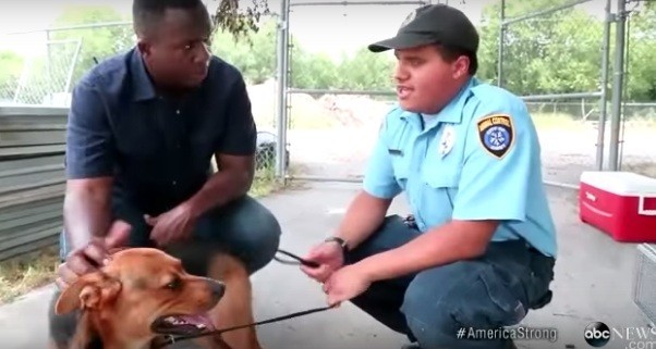 These Homeless Dogs Are Now Working For The Police… And It’s Awesome
