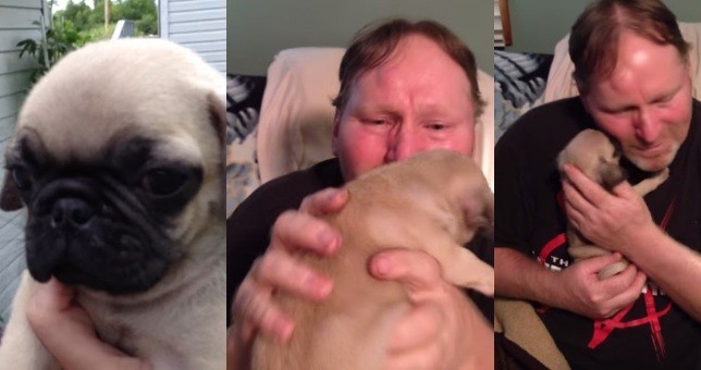 [VIDEO] This Wife Just Surprised Her Husband With A Pug Puppy And It’s Adorable!