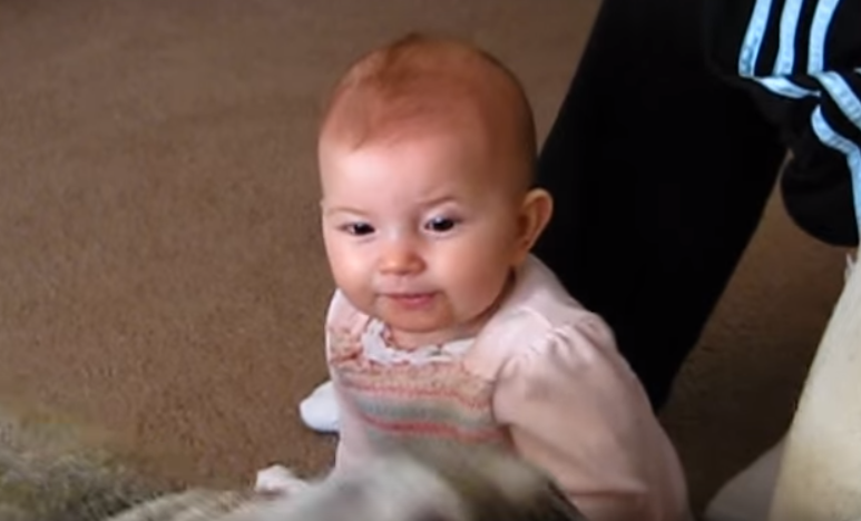 [VIDEO] Watch This Baby Crack Up Laughing Over Barking Pug… We Can’t Stop Laughing!!!!!