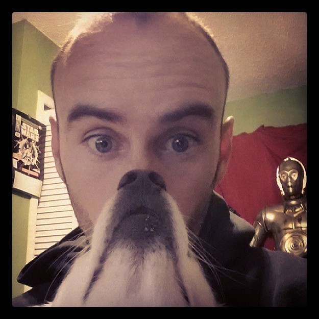 These Dog Beard Photos Are Hilarious – But We Want To See One Of You And YOUR Pug!