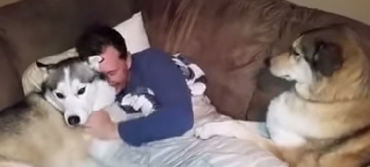 [VIDEO] This Jealous Dog Is Too Much To Handle… And It’s HILARIOUS!