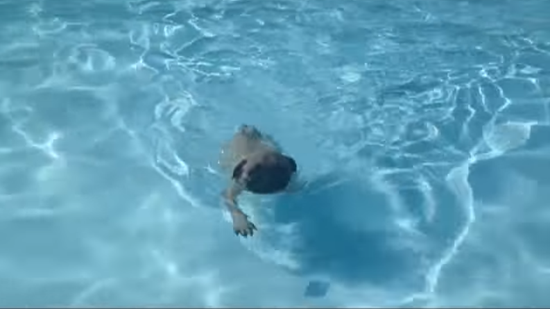 [VIDEO] Who Knew Pugs Were Expert Swimmers? Watch And See!