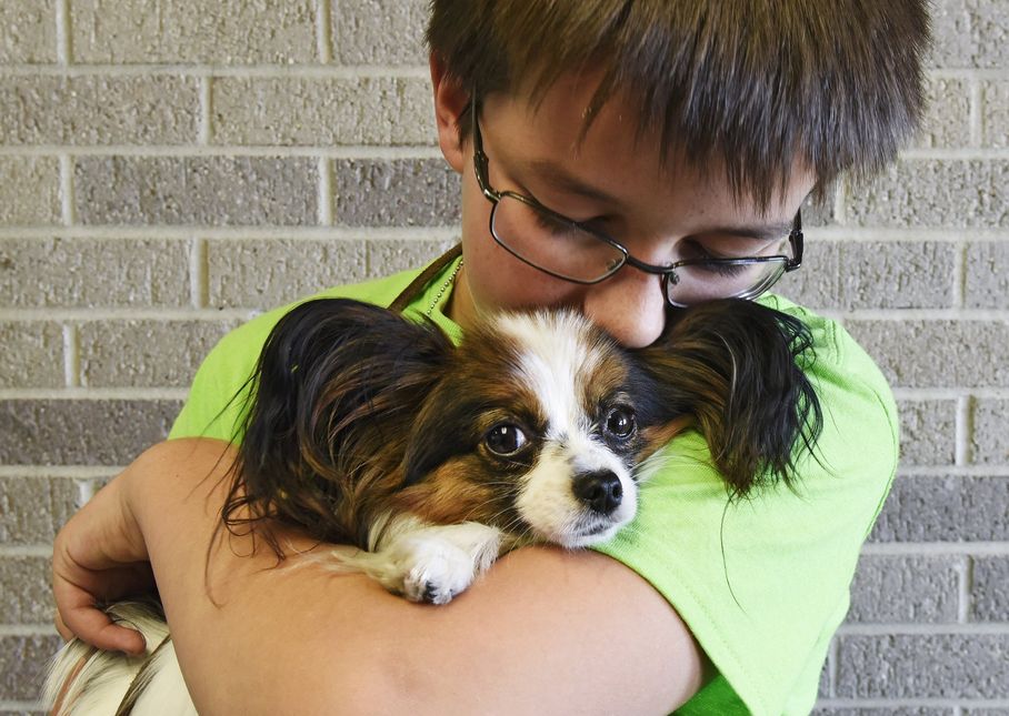 Is A Dog’s Nose The Key To Identifying Health Problems?