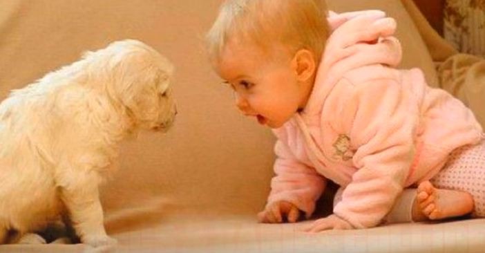 baby and puppy