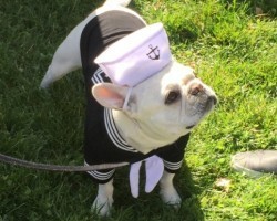 These Fashionable Dogs Know a Thing or Two About Looking GOOD!