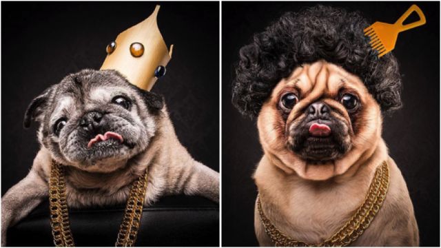 pug rappers