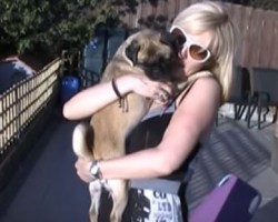 Pug Suffers From Rare Disorder, But That Doesn’t Stop Her From Making Everyone Smile!