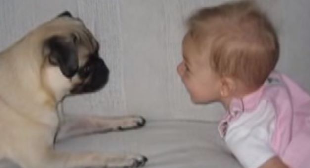 girl and her pug