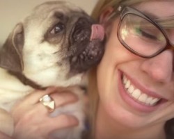 We Bet You Don’t Know These Awesome Facts About Your Lovable Pug…