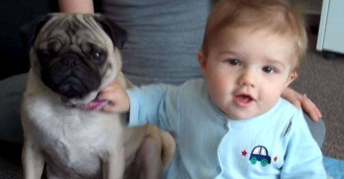 pug and baby dancing